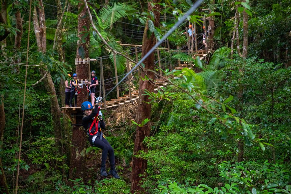 Cairns: Daintree Rainforest Canopy Ziplining Tour - Tour Information