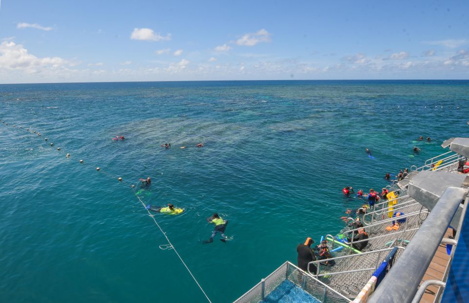 Cairns: Great Barrier Reef Cruise With Water Activities