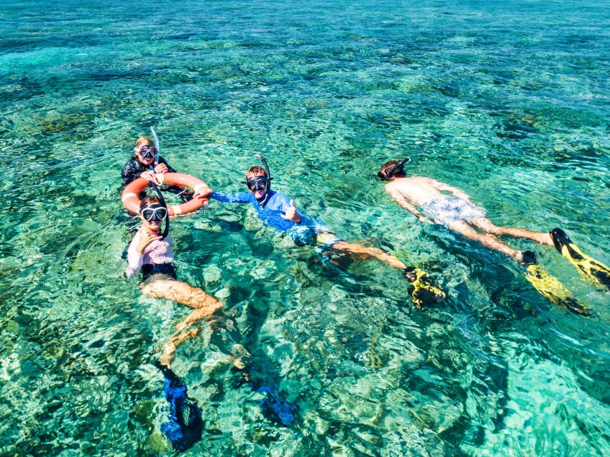 Cairns: Great Barrier Reef Snorkeling or Dive Tour and Lunch