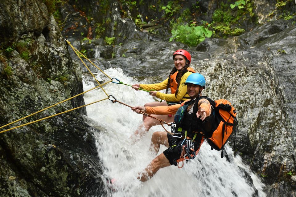 Cairns: Waterfalls Rainforest Experience - Tour Overview