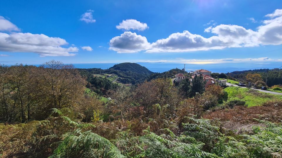 Camacha: Levada Trail E-Bike Guided Tour