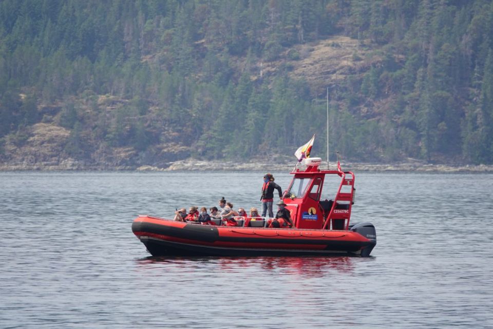 Campbell River: 6-Hour Whale Watching Boat Tour