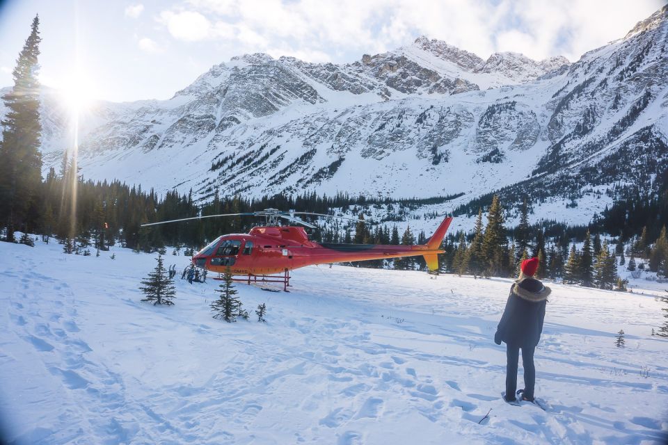 Canadian Rockies: Abraham Lake Ice Bubbles Helicopter Tour