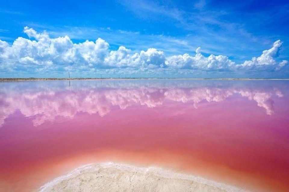 Cancun: Las Coloradas and Rio Lagartos Private Tour