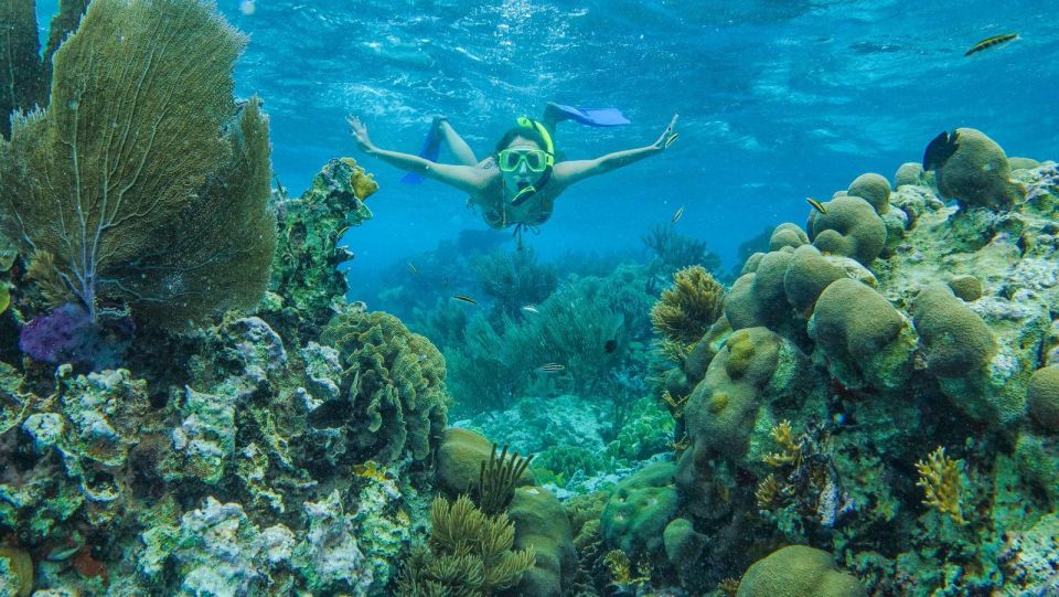 Cancun: Snorkel in MUSA Undewater Museum and Reef