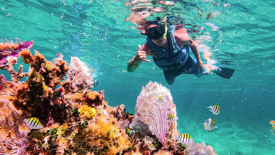 Cancun: Snorkel + Speed Boat + Mangrove = Jungle Tour 🚤