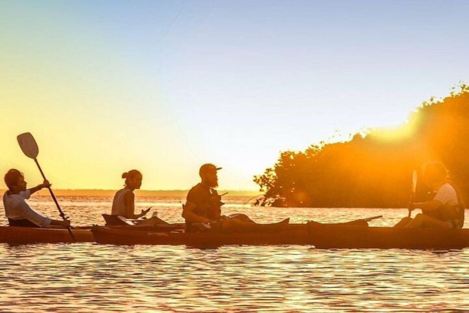 Cancun: Sunrise or Sunset Kayak Tour