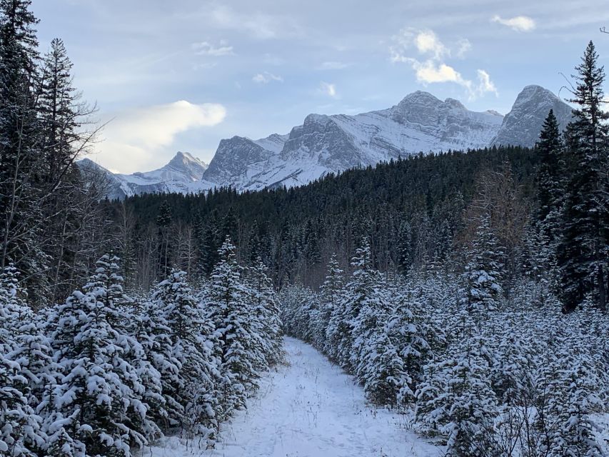 Canmore: Lost Towns and Untold Stories Hiking Tour - 3hrs