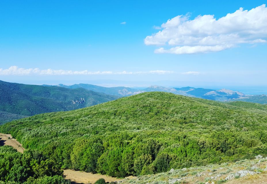 Cannoneris Nature Reserve Walking and Jeep Private Tour