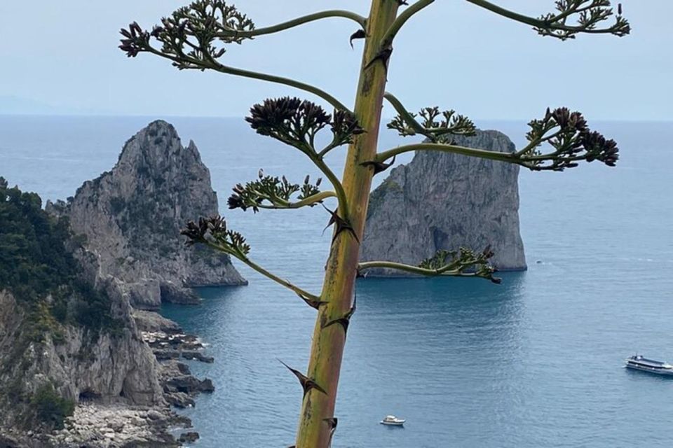 Capri Private Boat Tour at Sunset From Capri (2 Hours)