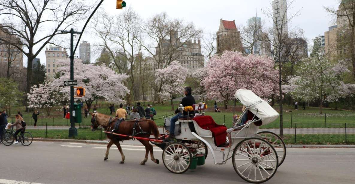 Carriage Ride To/From Tavern on the Green (Up to 4 Adults)