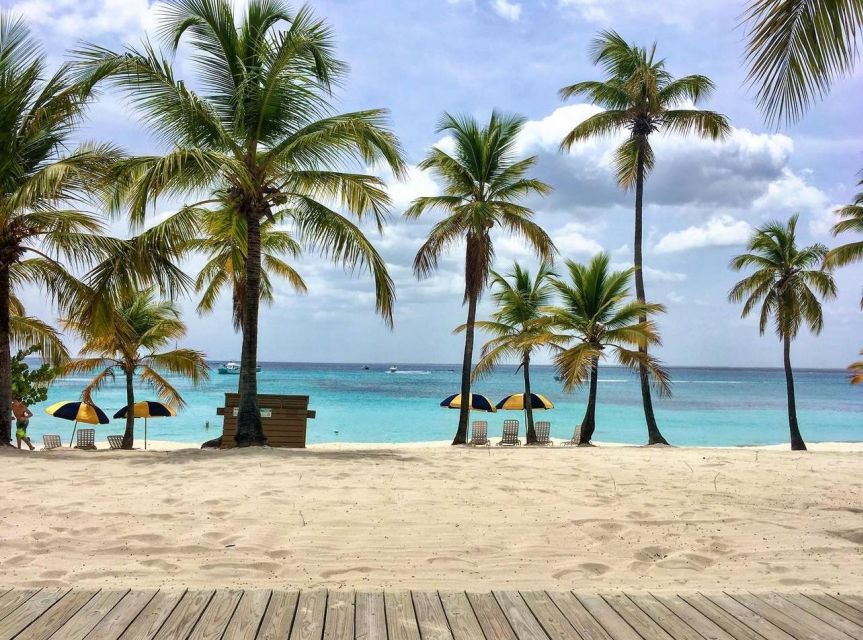 Catalina Island Diving From Punta Cana