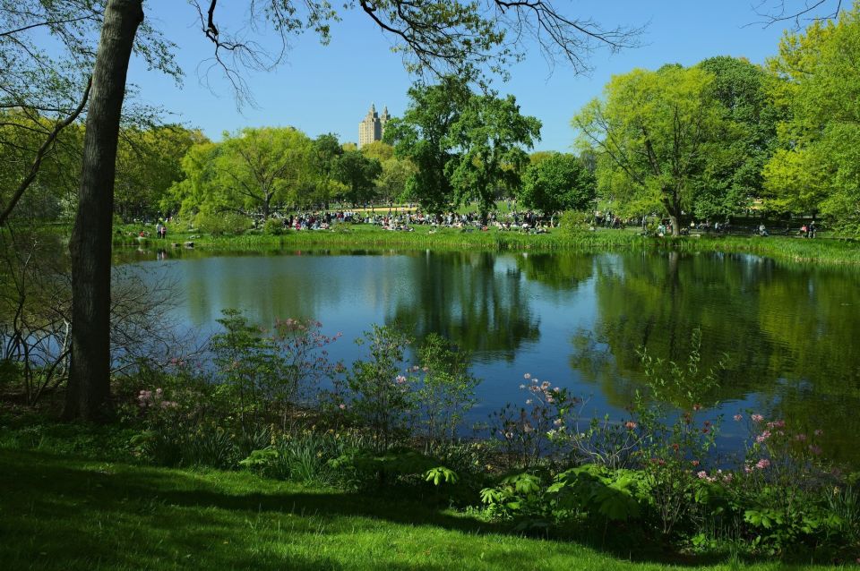 Central Park Photo Safari