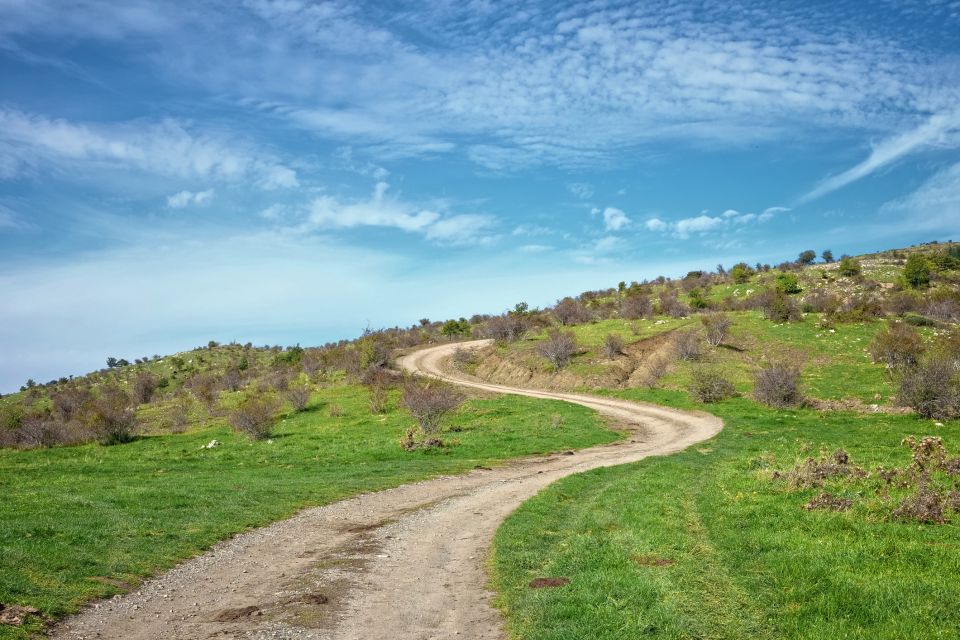 Cesar's: Full Day Tour of Nebrodi Park in a 4x4 - Tour Details