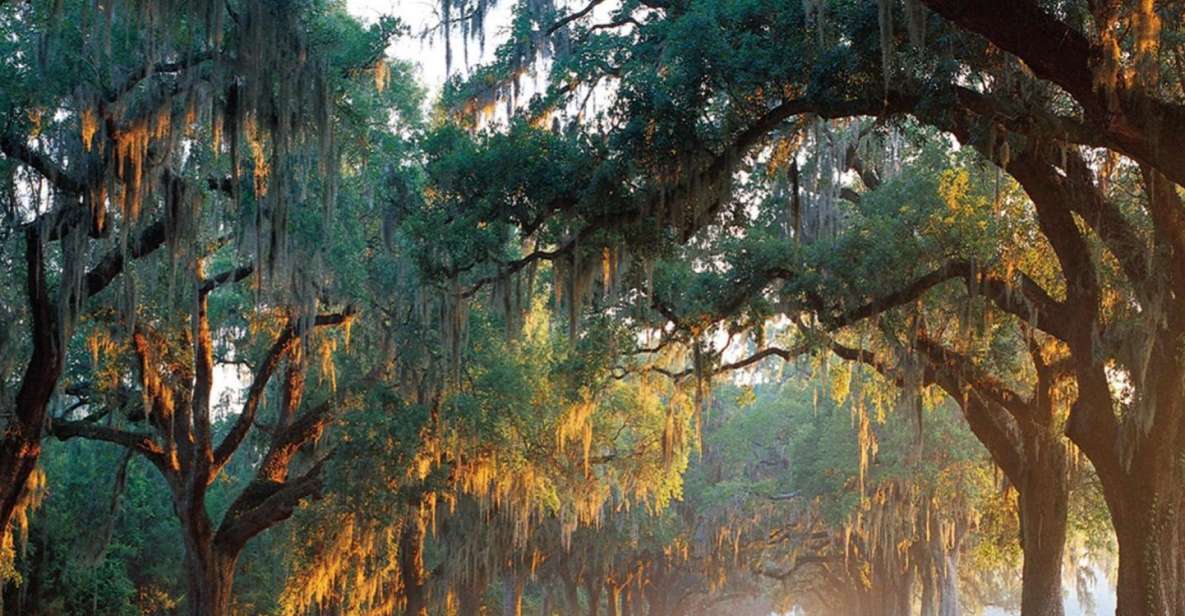 Charleston: Boone Hall & Historic City Tour Combo