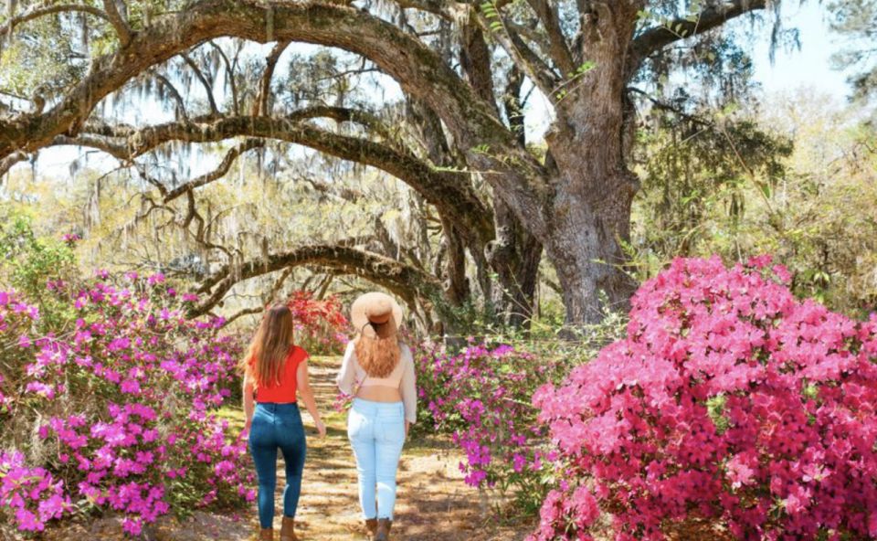 Charleston: Historic City Tour & Magnolia Plantation Combo - Tour Highlights