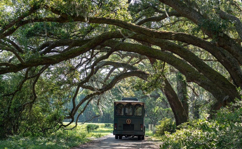 Charleston: Wadmalaw Island Wine Tasting and Tea Garden Trip - Tour Overview