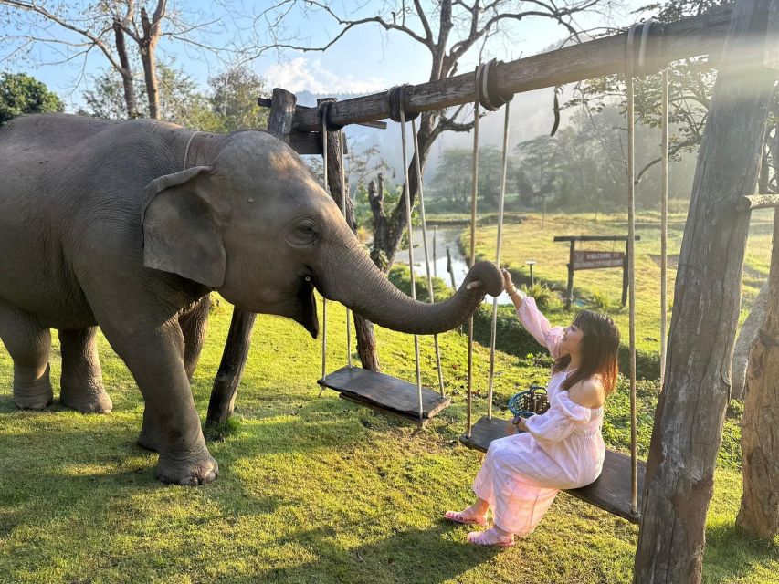 Chiang Mai: 2-Day Good Morning Elephant & Overnight Homestay