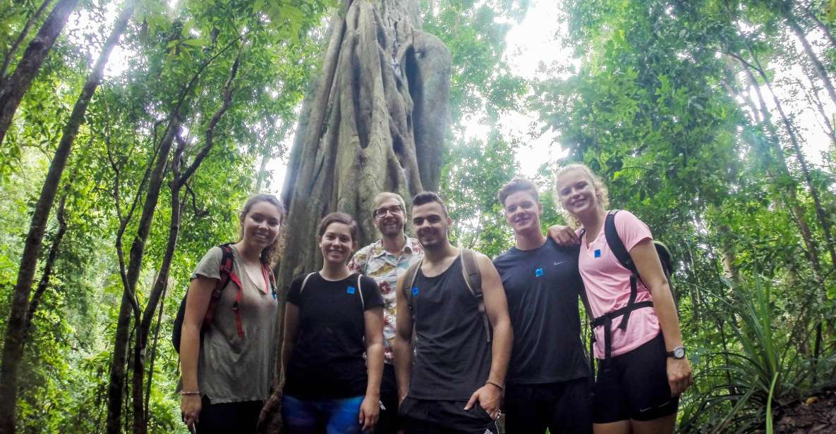 Chiang Mai: 7-Hour Doi Suthep National Park Summit Hiking - Tour Description