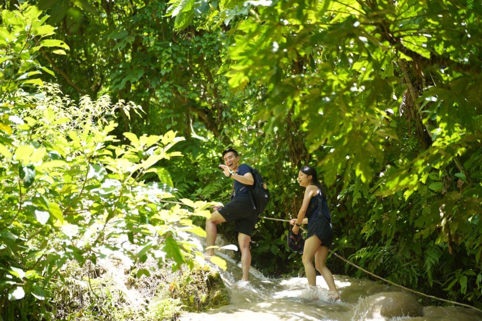 Chiang Mai: Bua Thong Sticky Waterfall and Huge Cave Tour