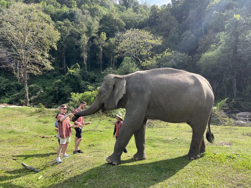 Chiang Mai: Doi Inthanon and Elephant Sanctuary Tour - Tour Overview