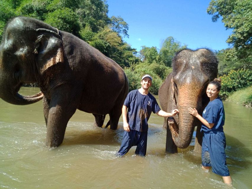 Chiang Mai: Doi Suthep Temple & Elephant Sanctuary Day Trip