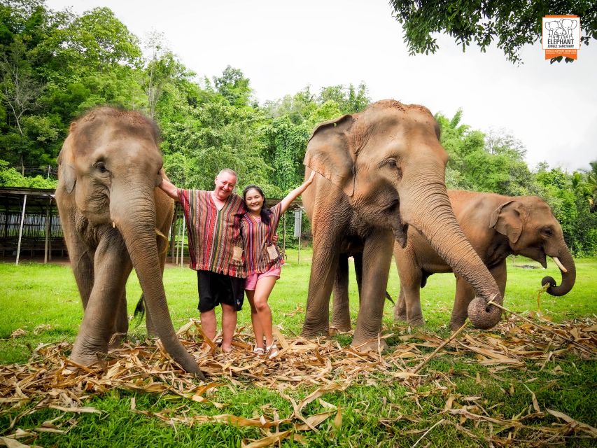 Chiang Mai: Elephant Jungle Sanctuary With Lunch & Transfer - Tour Overview