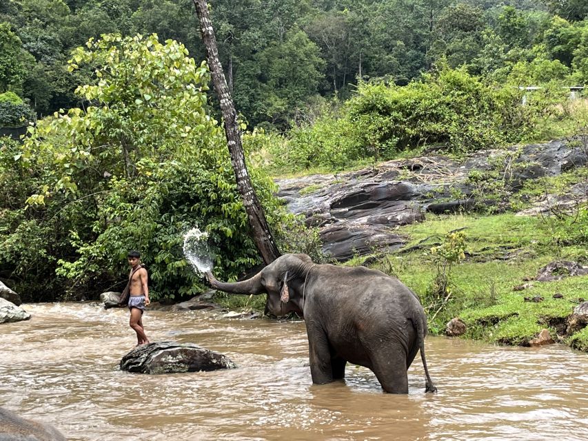 Chiang Mai: Elephant Sanctuary & Waterfall Group Tour - Elephant Sanctuary Activities