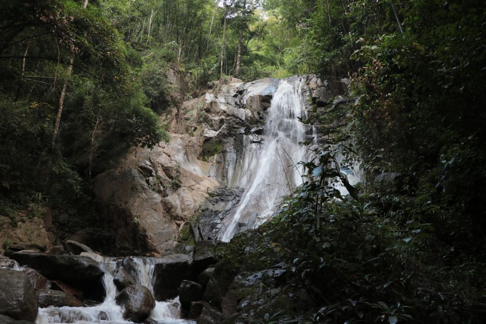 Chiang Mai: Explore Forests to Waterfalls and Water Rafting - Tour Highlights