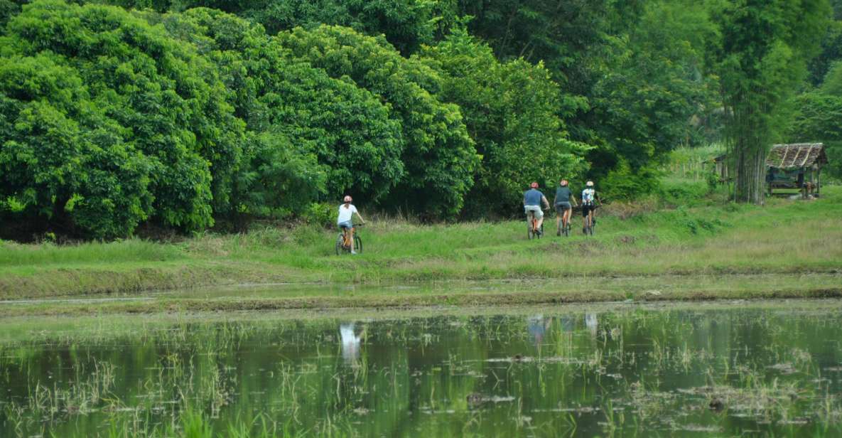 Chiang Mai Fields of Gold Cycling Tour