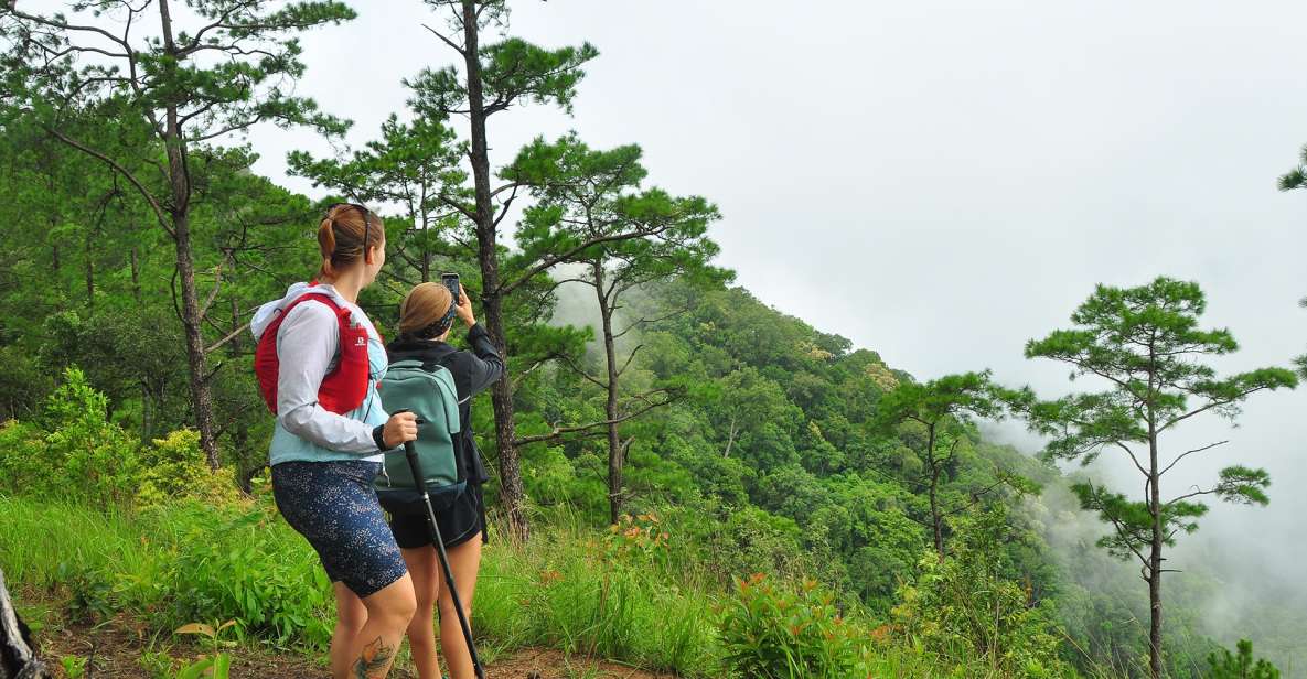 Chiang Mai: Full-Day Hiking Tour by Trailhead - Hiking Through Doi Suthep-Pui