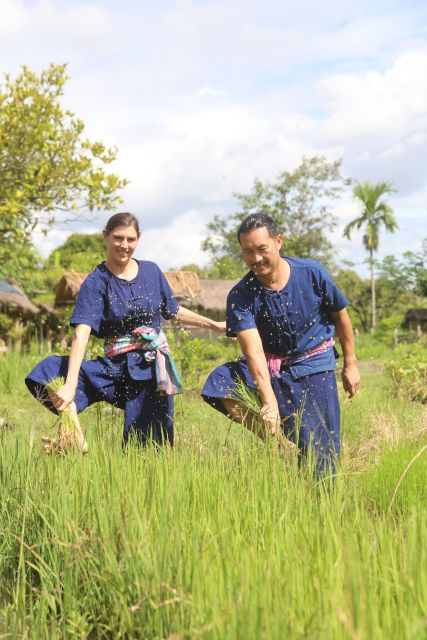 Chiang Mai: Thai Buffalo and Rice Planting Experience