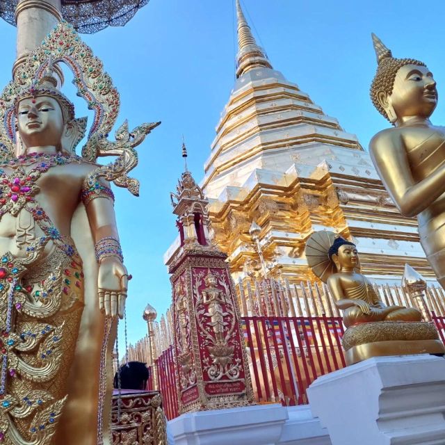 Chiang Mai: Wat Pha Lat & Wat Phra That Doi Suthep Tour