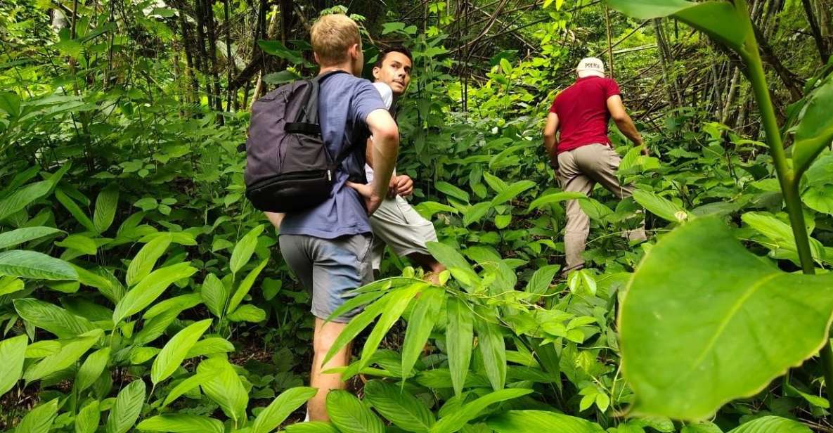 Chiang Rai: Jungle Adventure-Group Trekking & Bamboo Cooking