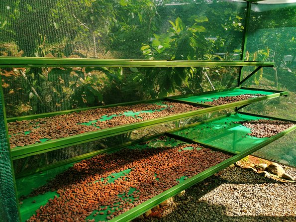 Chocolate Tour Manuel Antonio - Overview of the Tour