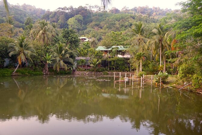 Choose Your Own Dishes: Half-Day Thai Cooking Class in Phuket