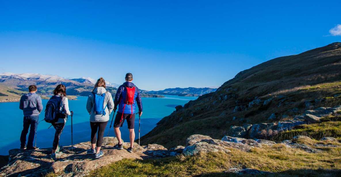 Christchurch: Guided Crater Rim Walk With Picnic