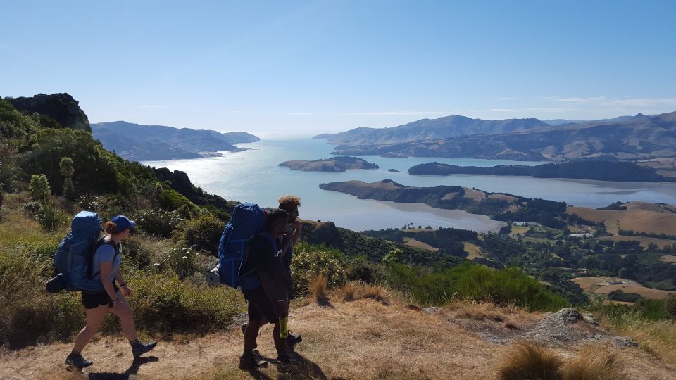 Christchurch: Packhorse Hut Guided Walk and Scenic Drive