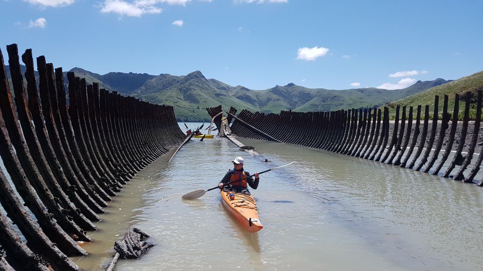 Christchurch: Sea Kayaking Tour of Lyttelton Harbour - Tour Details