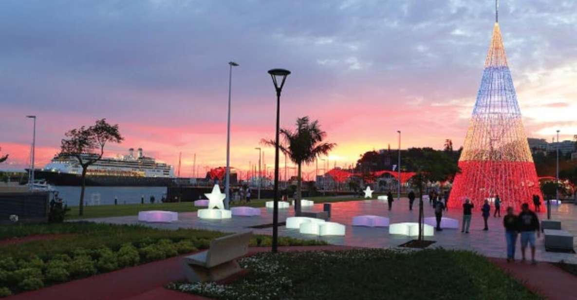 Christmas Lights in Funchal Tuk Tuk Tour - Tour Overview and Pricing