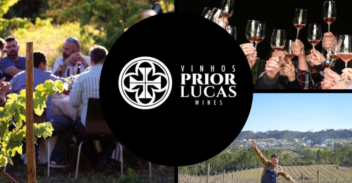 Coimbra: Prior Lucas Winery and Vineyard Visit With Tastings