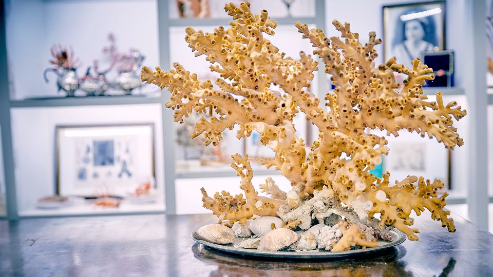 Coral Workshop and Visit of the Museum in Sicacca