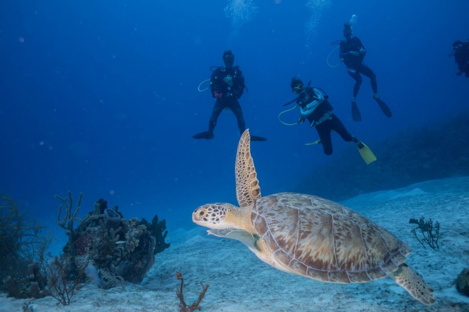 Costa Maya: Discover Scuba Diving Reef Experience