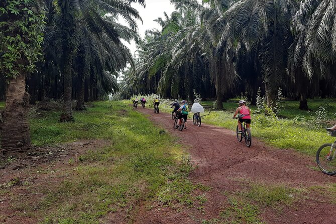 Countryside Cycling Tour by Matahari