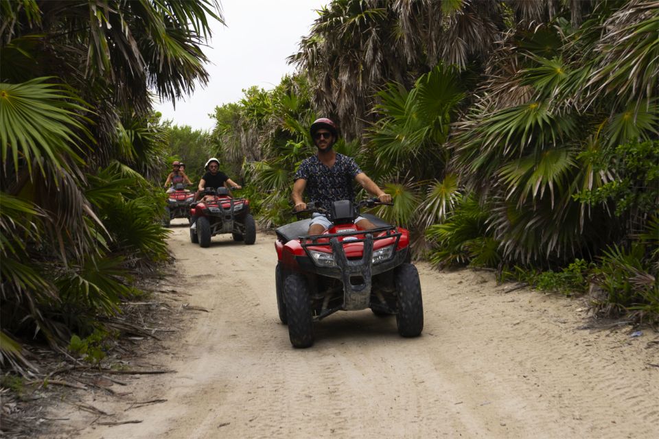 Cozumel: Buggy Adventure to Punta Sur Park and Snorkel