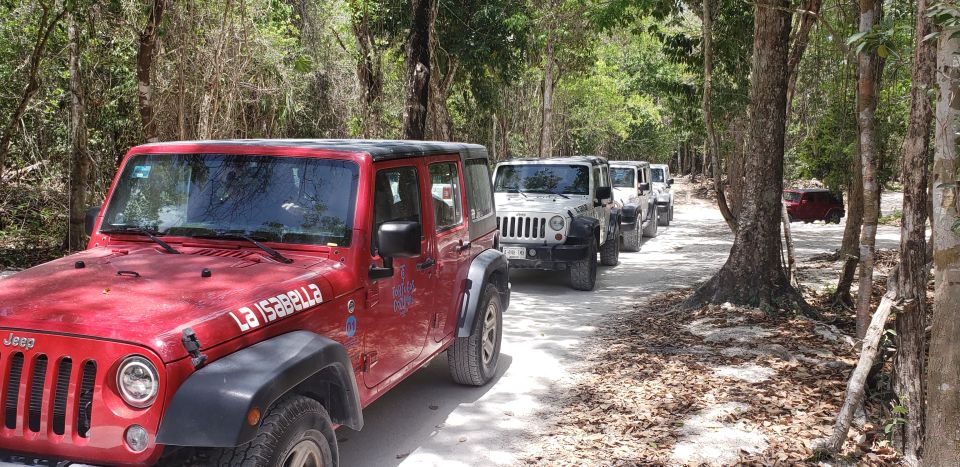 4 Best Shore Excursions In Cozumel