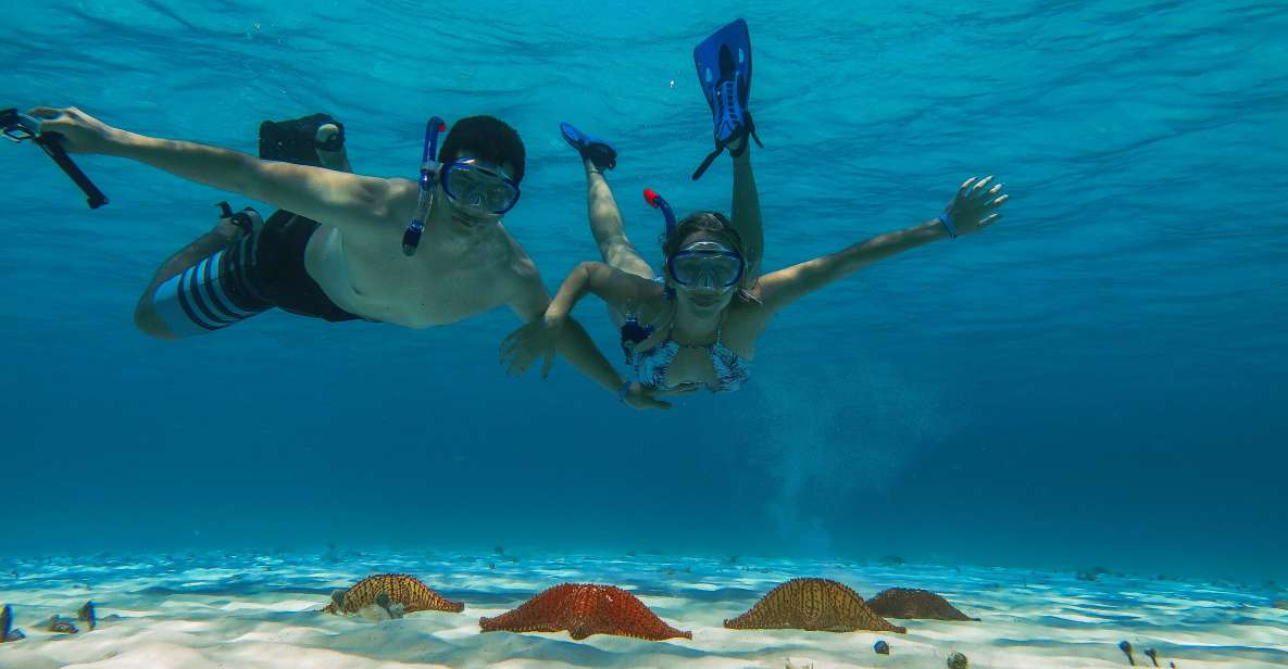 Cozumel: Snorkeling Trip to 3 Reefs by Boat - Overview of the Snorkeling Experience