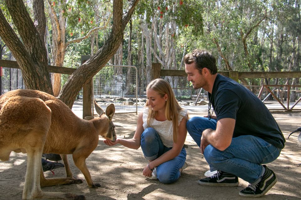 Currumbin Wildlife Sanctuary Ticket & Koala Photo