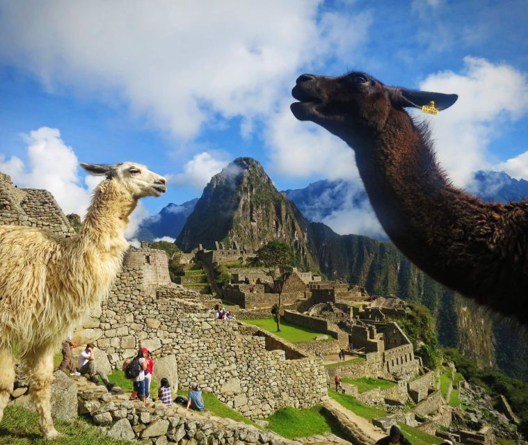 Cusco: Machu Picchu 1-day Excursion by Train | Private Tour - Tour Overview