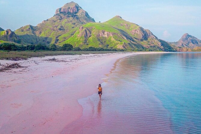 Daily Trip Highlight Komodo Archipelago by Speed Boat